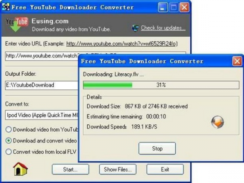 Eusing Free YouTube Downloader Converter 1.6 - Descargar 1.6